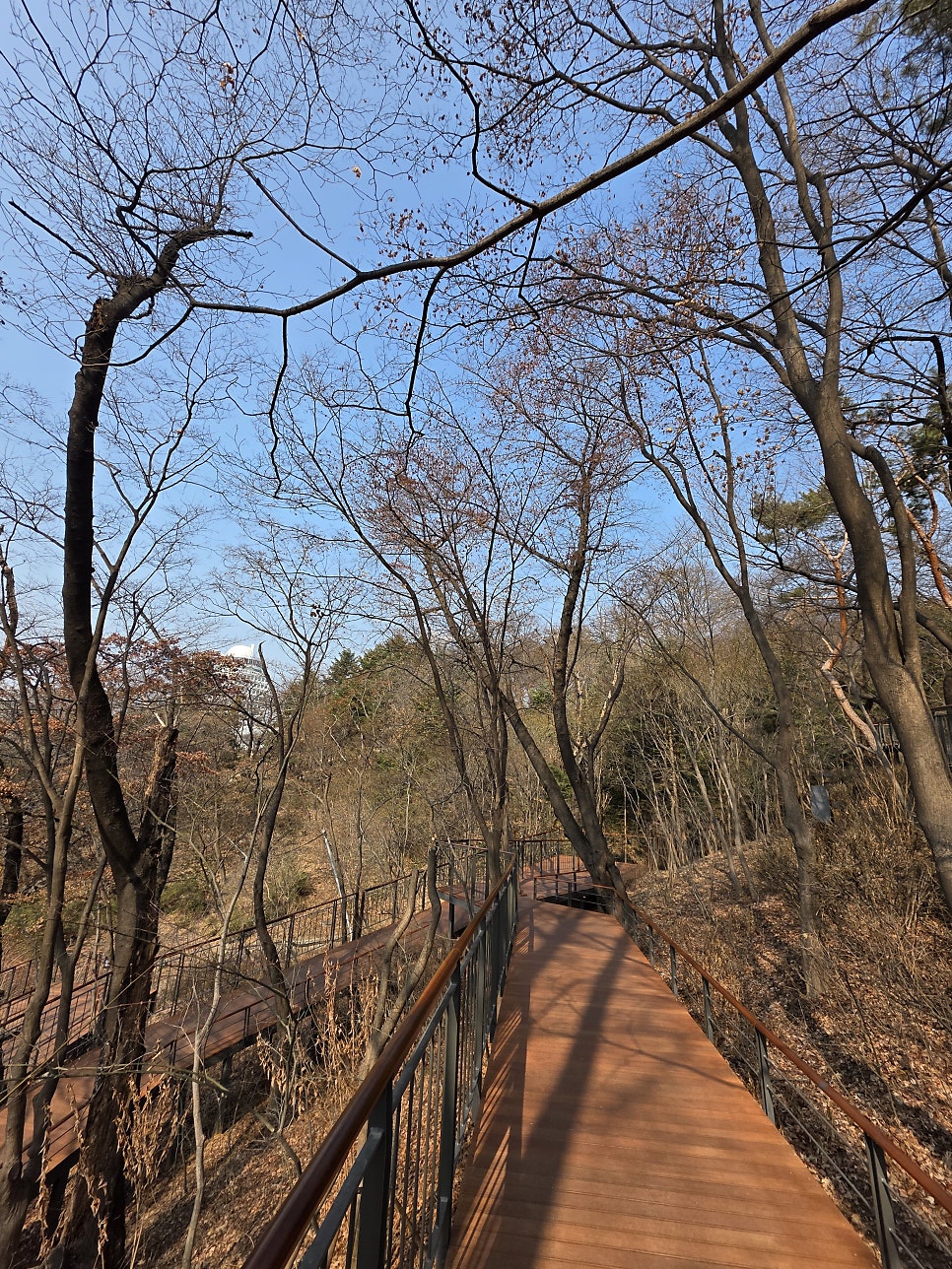 단장길 사진 6