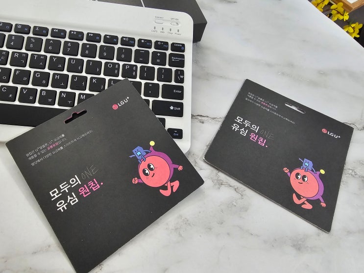  모두의 유심 원칩 구매 가격과 LG선불폰 개통 방법