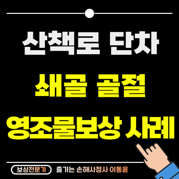  산책로 단차에 걸려 쇄골 골절로 영조물 보상 사례