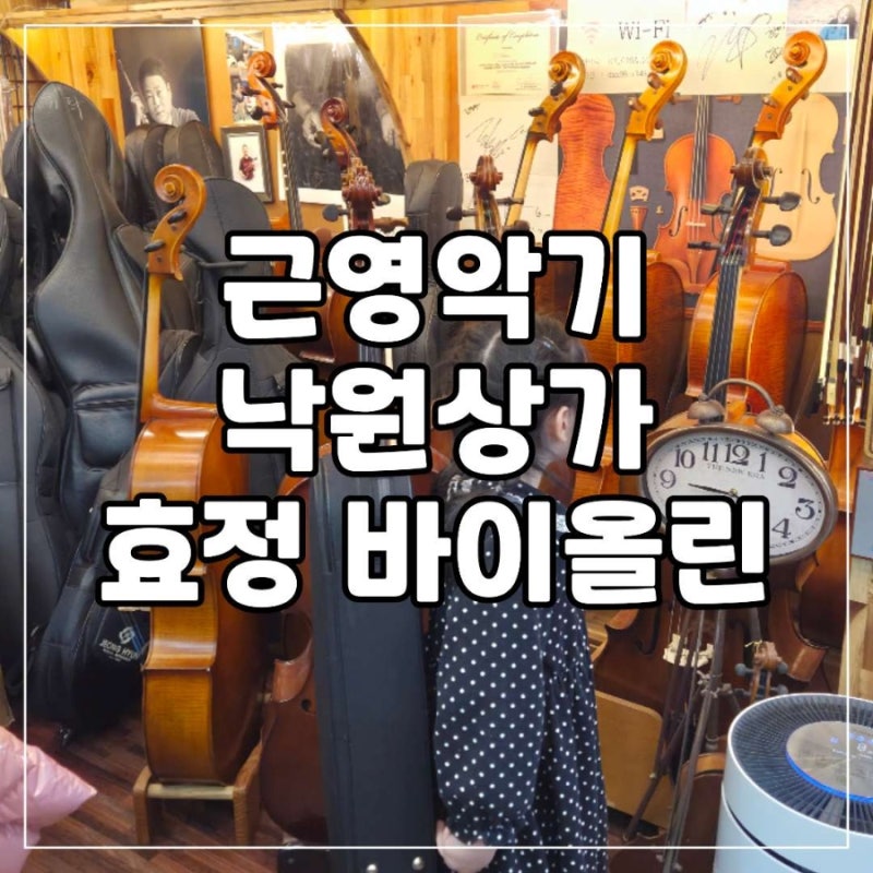 초1 유아 저학년 초등학생 처음 첫 바이올린 효정 HV100 구매 후기 낙원상가 근영악기 낙원악....