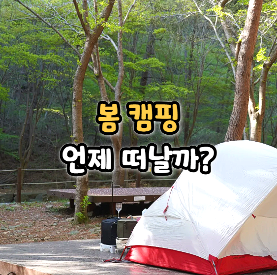  봄 캠핑, 언제부터 가는 게 좋을까? 직접 다녀본 기준
