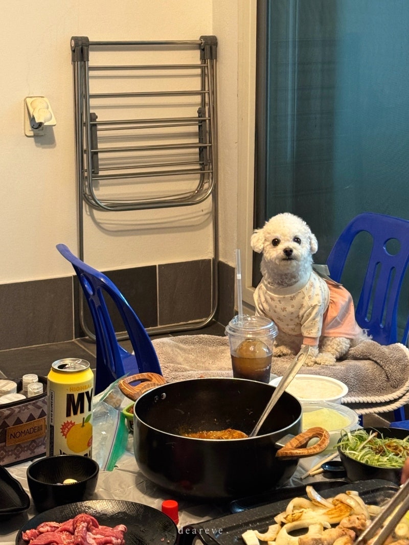 경남 애견동반 숙소 글램독 애견펜션 통영 후기