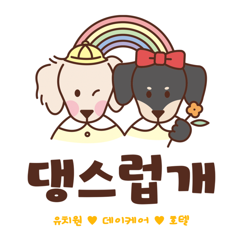 사진 9