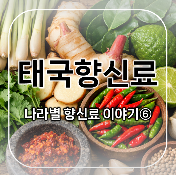  태국향신료 편 | 나라별 향신료 이야기 6 | 태국음식의 향을 완성하는 핵심 재료