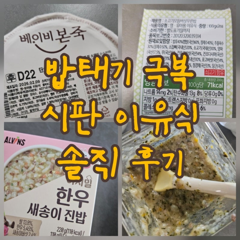 9개월 아기 밥태기 시판 이유식 추천 입자감 비교