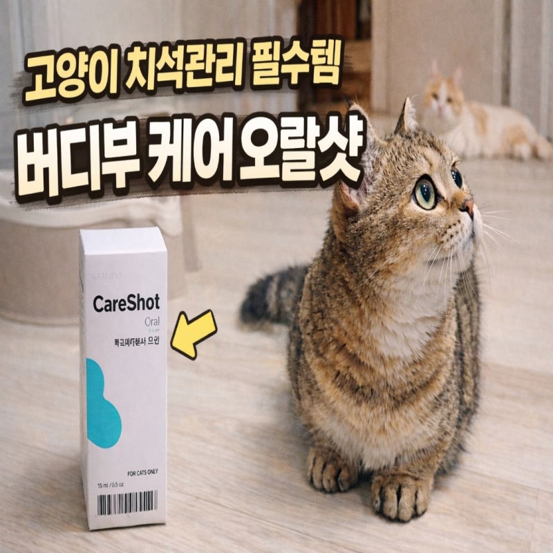 고양이 구강영양제 버디부 케어 오랄샷 사용후기 ｜치석관리 방법
