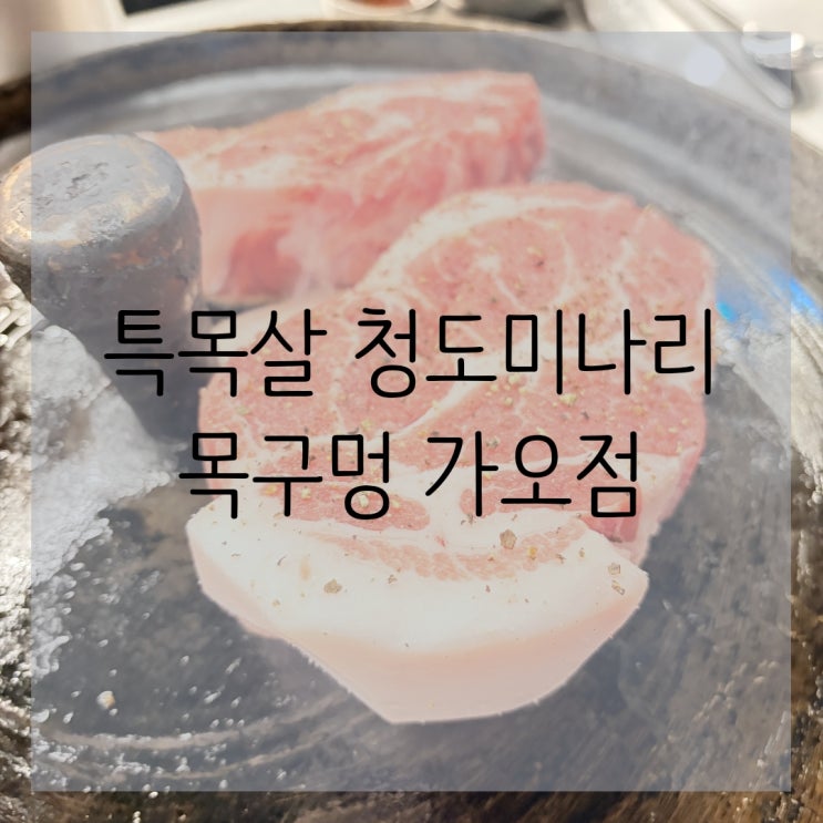  특목살에 청도미나리 너무 맛있던 목구멍 가오점 내돈내산 리뷰