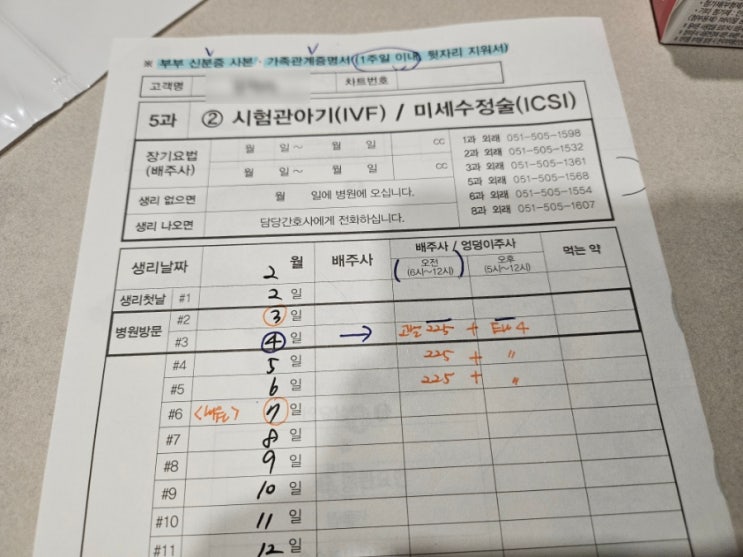  [난임일기]세화병원 시험관시작, 난자채취 주사시작 타임라인