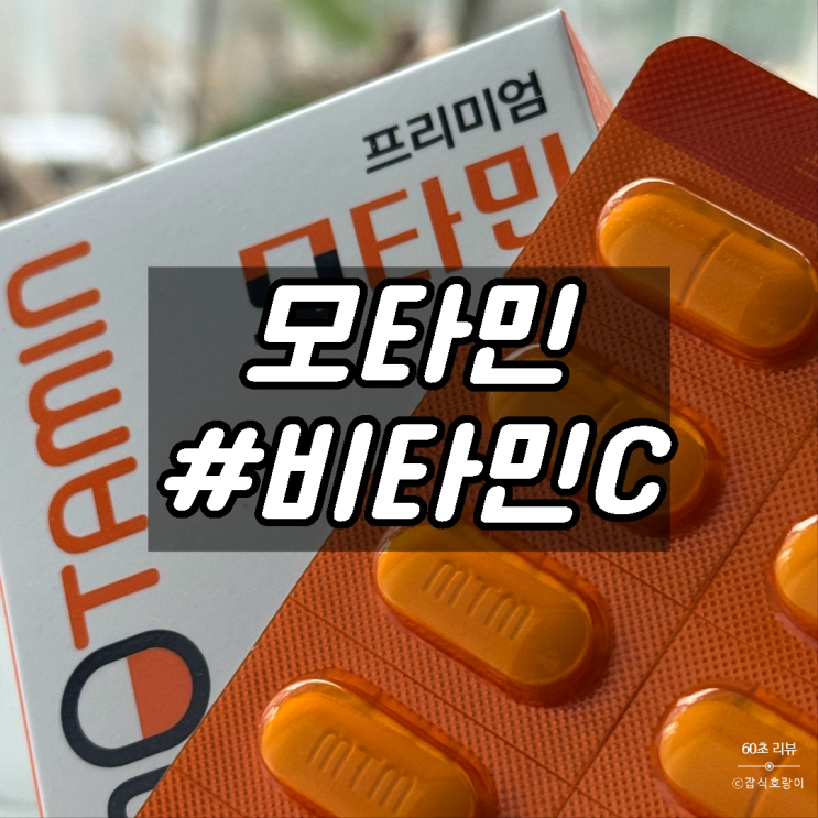  비오틴추천 탈모 영양 수용성 비타민 유산균 모타민