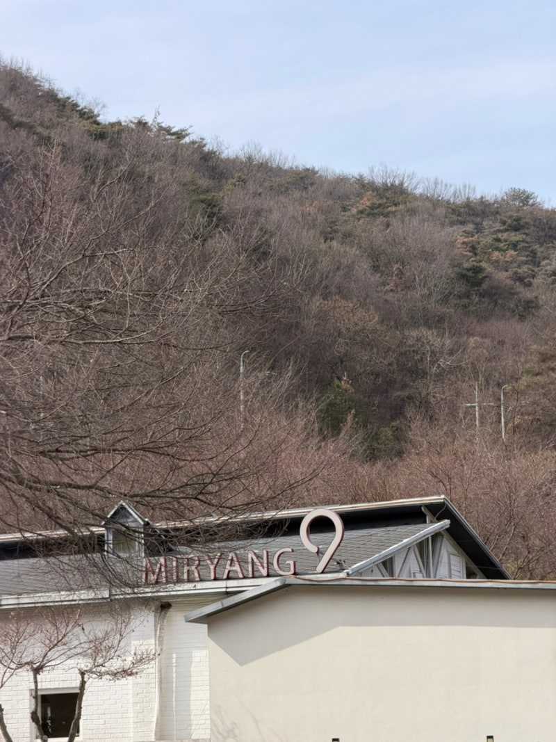 사진 2