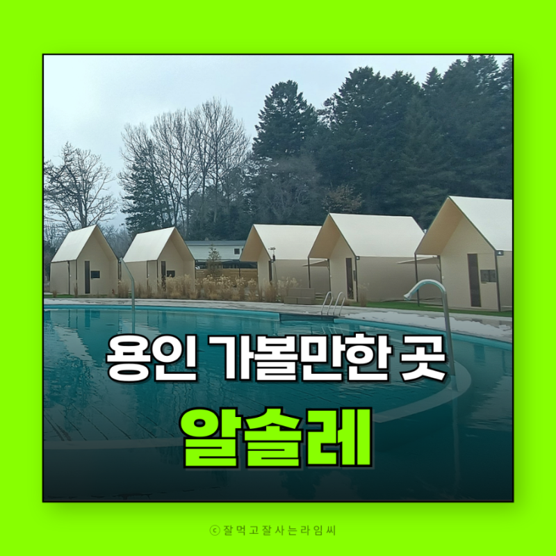 사진 7
