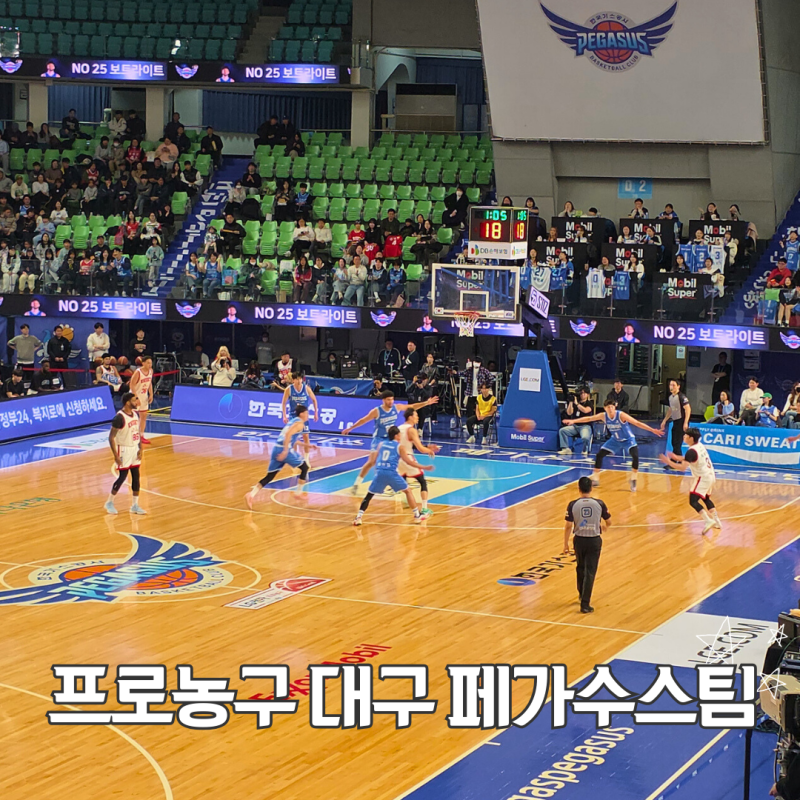 프로농구 경기 대구 페가수스팀 승리요정했어요