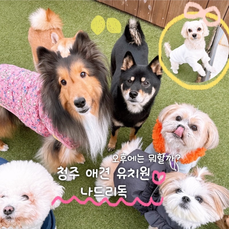 사진 3