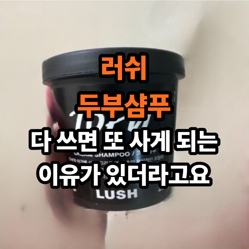 러쉬 두부샴푸 재구매 의사 있는 이유