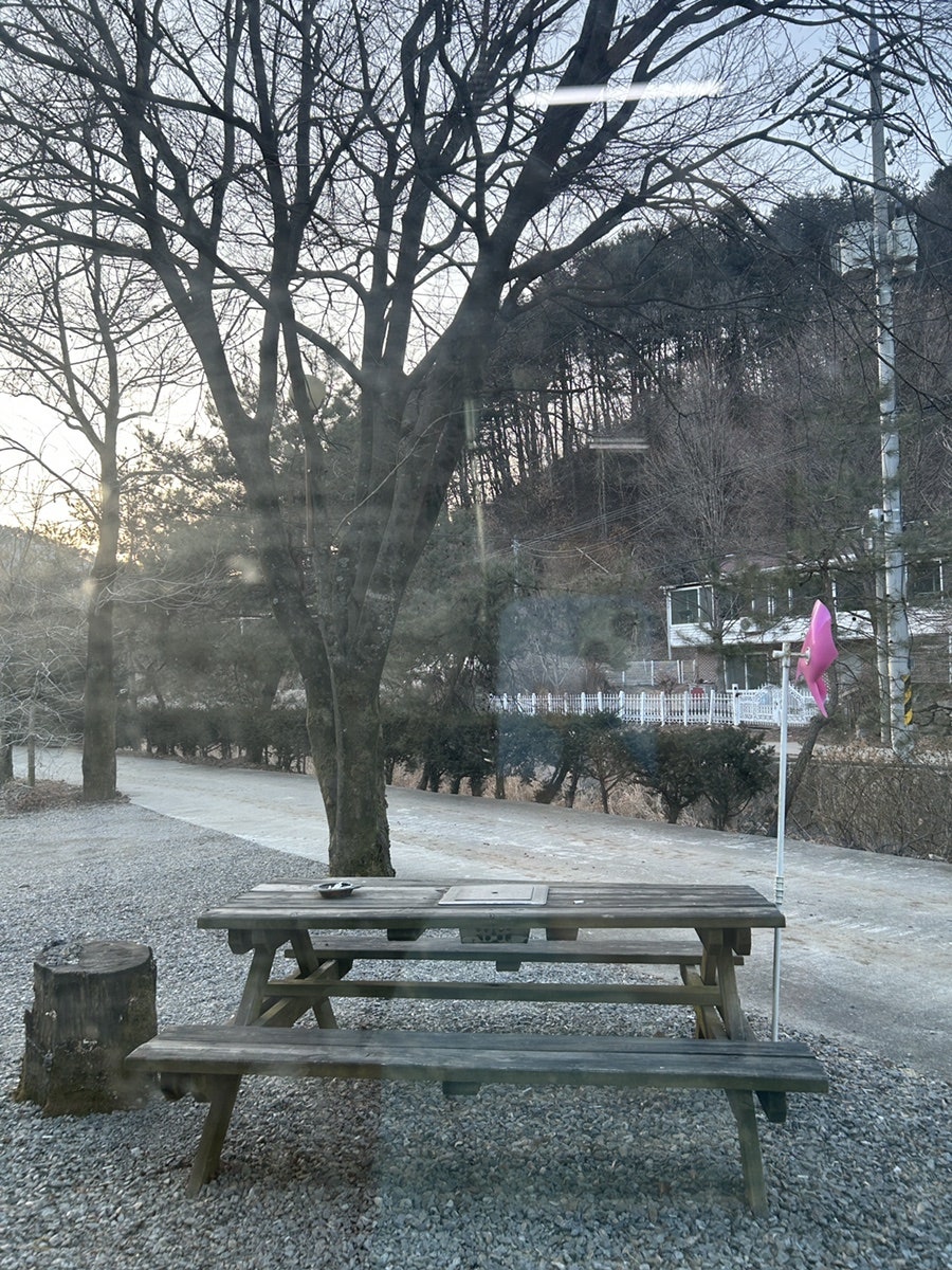 참소나무농원 사진 5