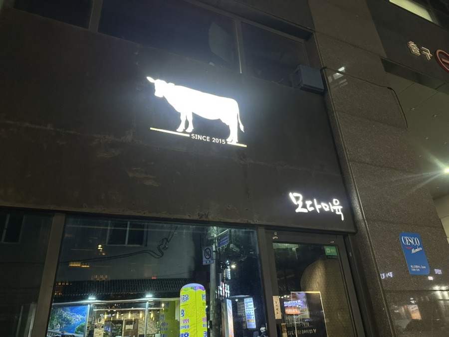 모다미육 사진 2
