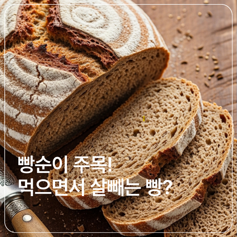 호밀빵 효능 및 다이어트 효과 혈당과 칼로리 정보까지