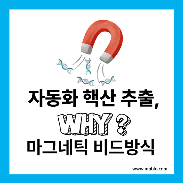  자동화 핵산 추출, 왜 마그네틱 비드 방식인가?