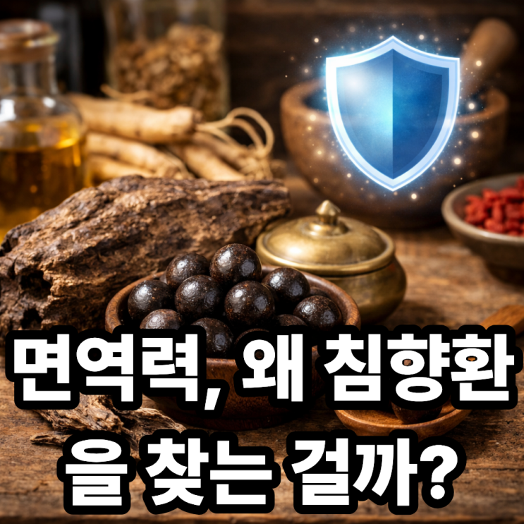  침향환이 면역력에 도움 되는 이유, 왜 몸이 달라질까?