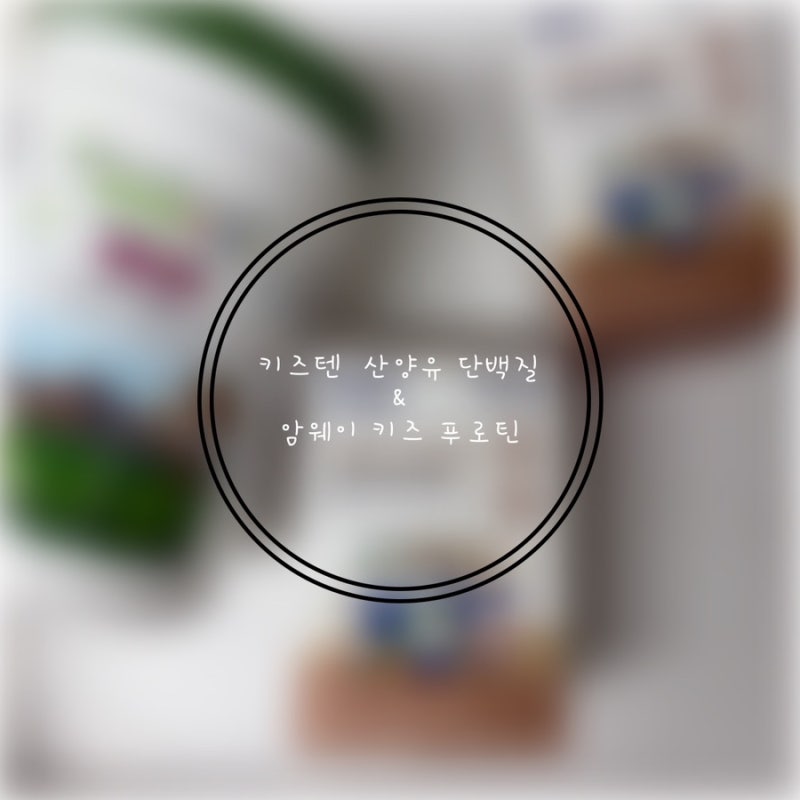 (내돈내산) 키즈텐 어린이 초유 산양유 프리미엄 단백질&암웨이 뉴트리키즈 푸로틴