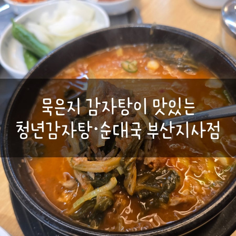 청년감자탕 부산지사점 사진 1