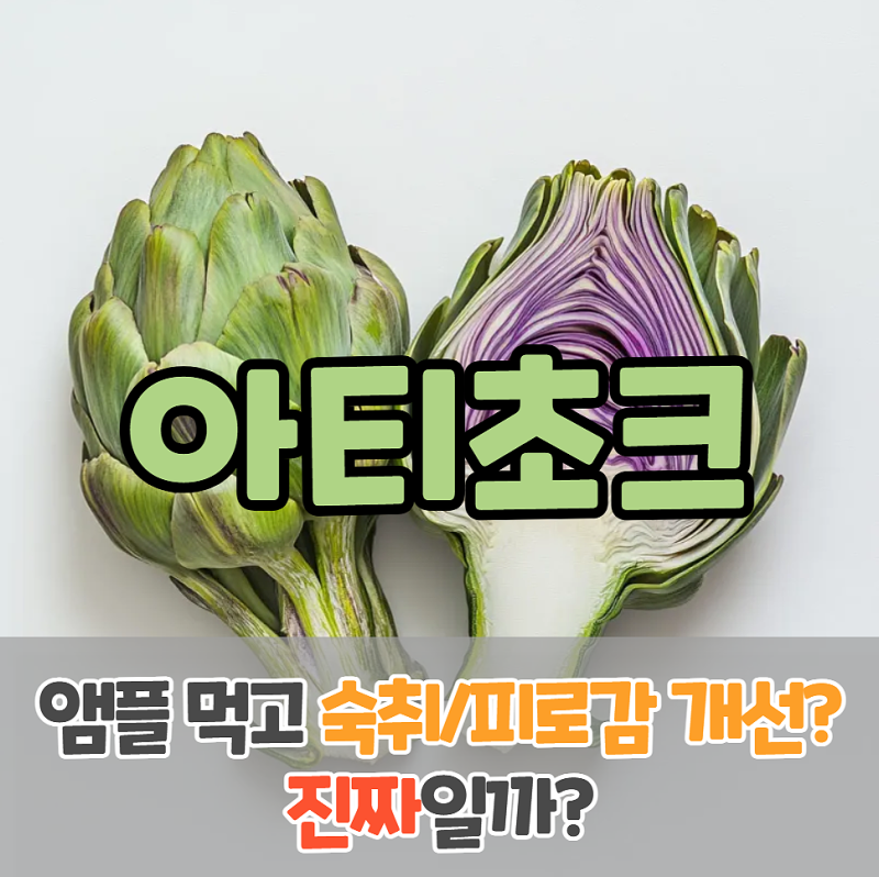아티초크 효능, 앰플 차 여행가서 사기 전 필독 사항