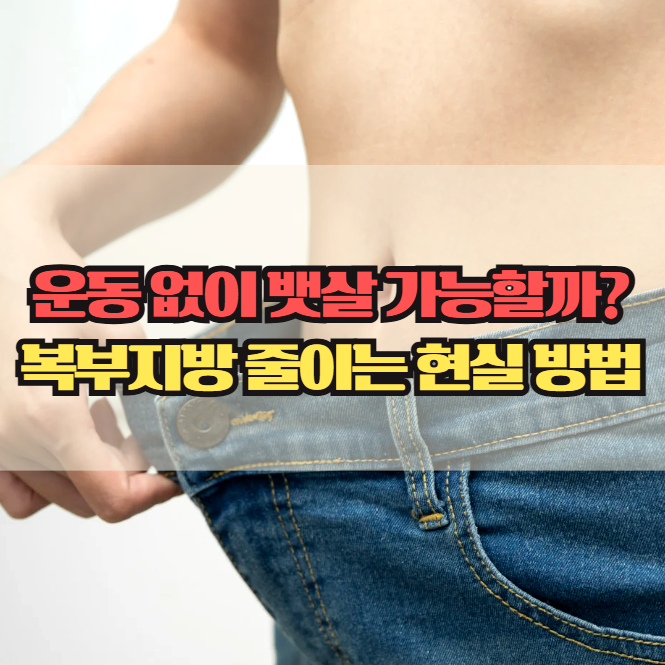  운동 안하고 뱃살빼는법 7가지, 진짜 효과 있을까?