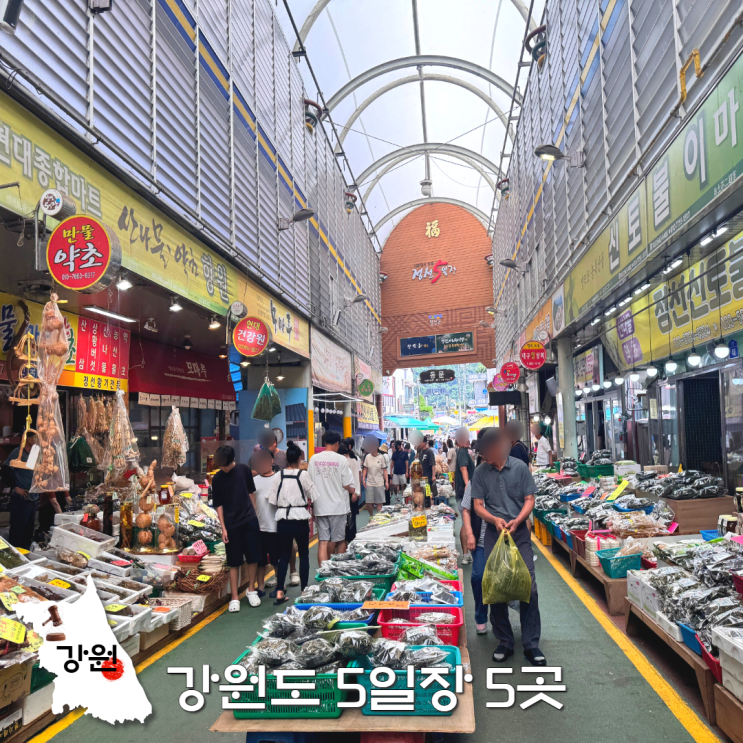  강원도 시장 추천 정선 영월 태백 삼척 강릉 5일장 날짜 장날
