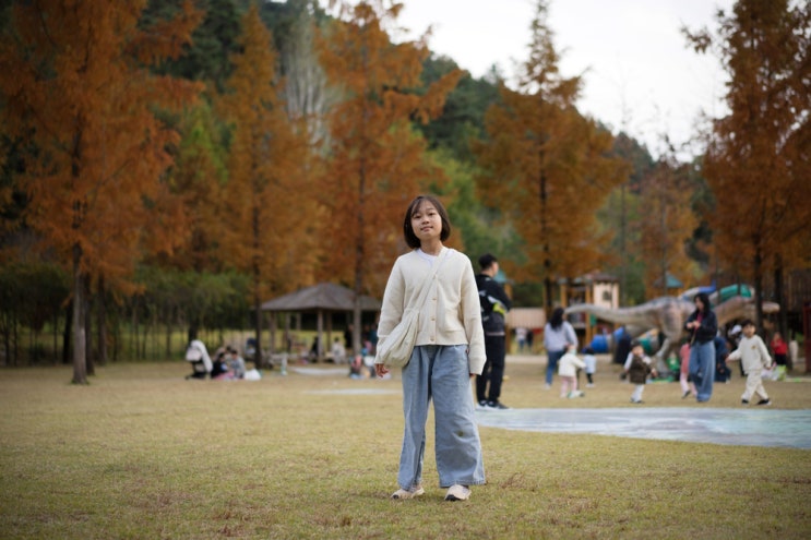  전남 담양｜가족과 떠나는 가을여행, 담양 당일치기 추천코스 (관방제림, 죽녹원, 메타세콰이어길)