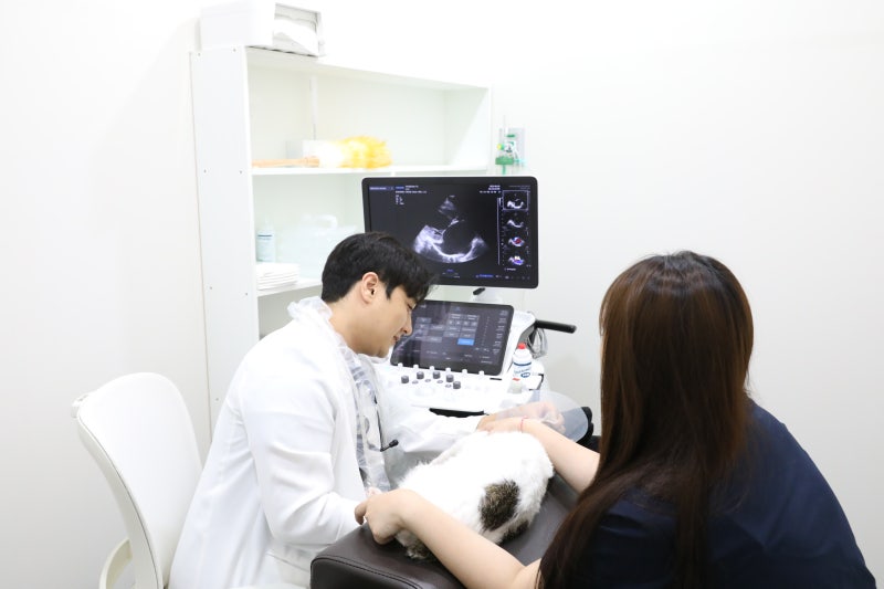부산센텀동물병원, 입원 시스템까지 확인하고 선택하고 계신가요?