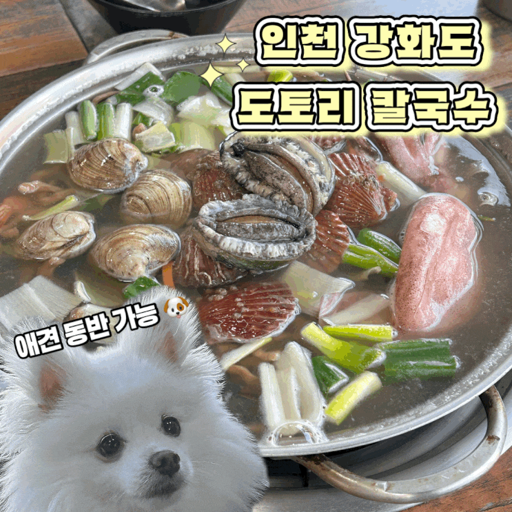  인천 강화도 애견 동반 식당 해물 가득 들어간 도토리 바지락손칼국수