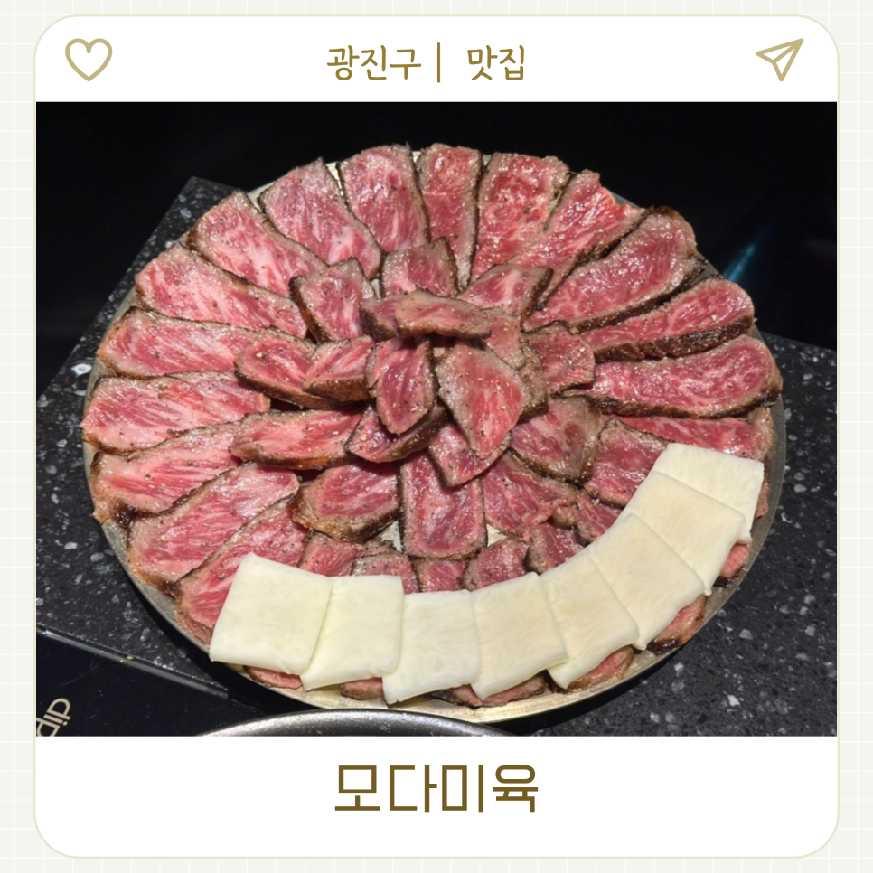 모다미육 사진 1