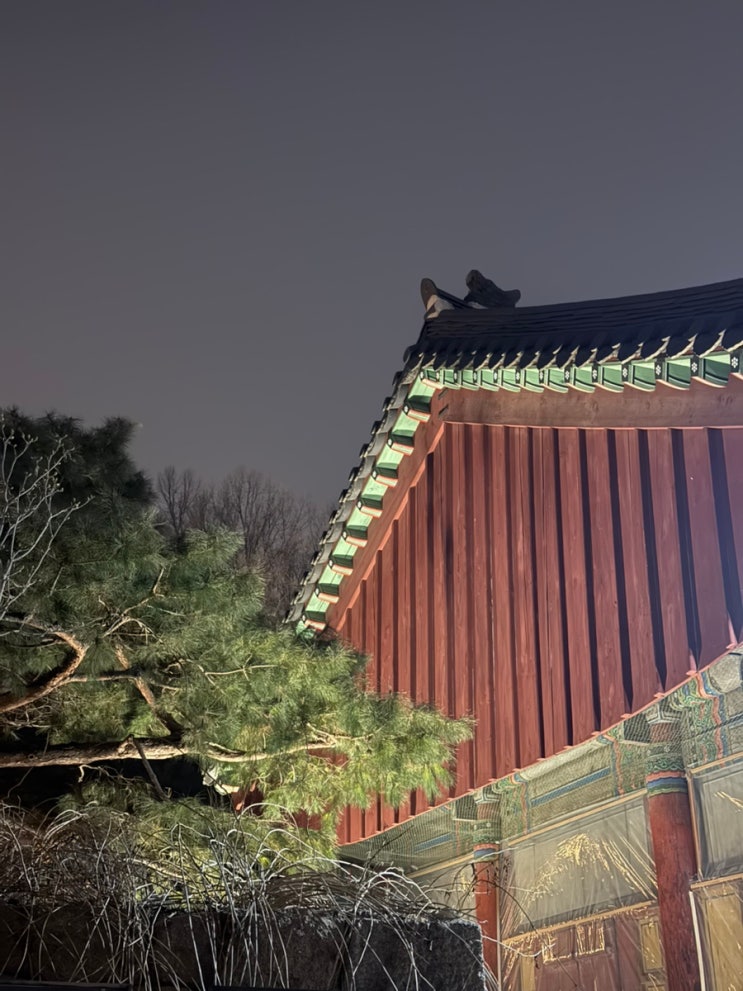  서울 야간 산책 추천: 도심 속 고요한 사찰, 봉은사 밤 산책