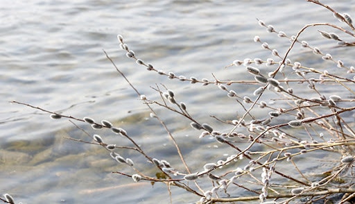 SE-adab5647-1bf7-4ee1-8c01-dd2c8a451a31.