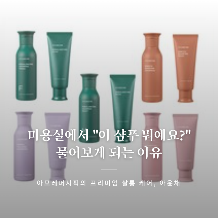  아윤채 샴푸 인기 있는 이유 분석! 탈모샴푸1위 답네