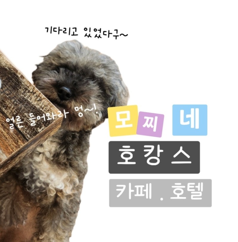 사진 5