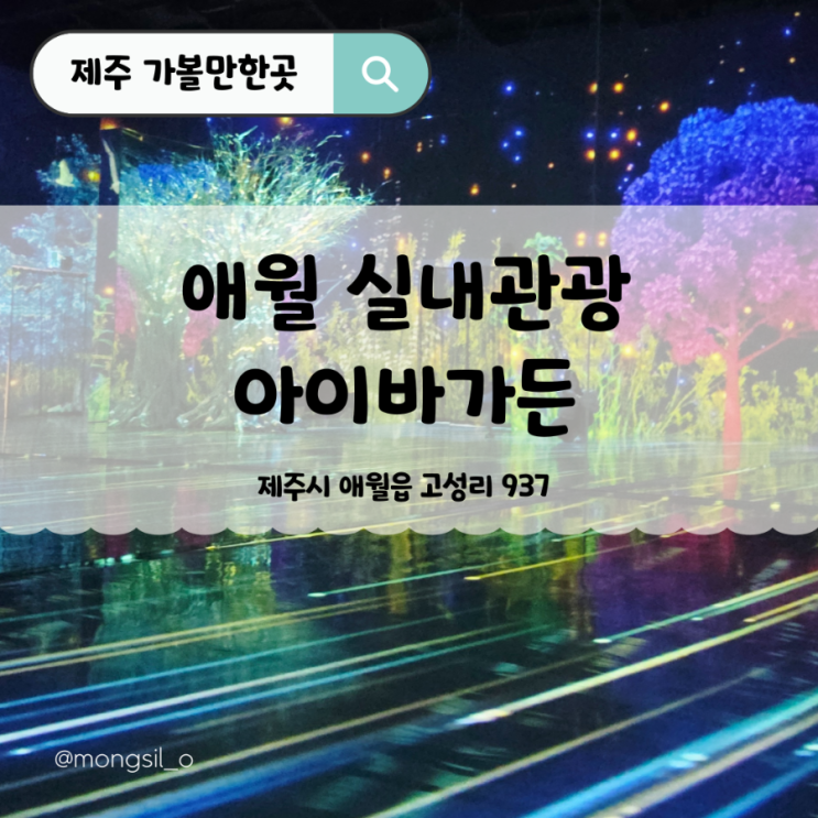  애월실내관광지 아이바가든 제주가족여행 미디어아트 찐후기