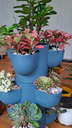 일상이 풍성하고 행복해지는 반려식물용품 전문 쇼핑몰 !