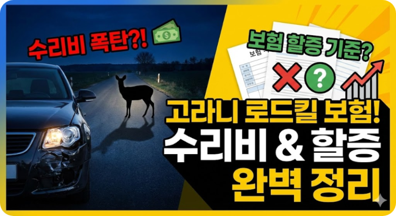 고라니 로드킬 보험 수리비용 및 할증 기준