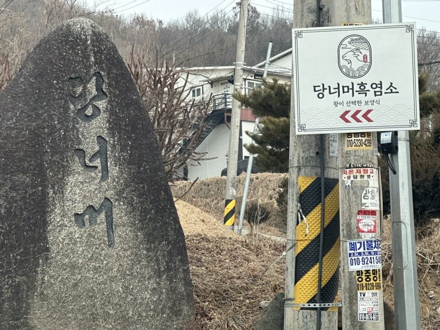당너머흑염소 사진 2