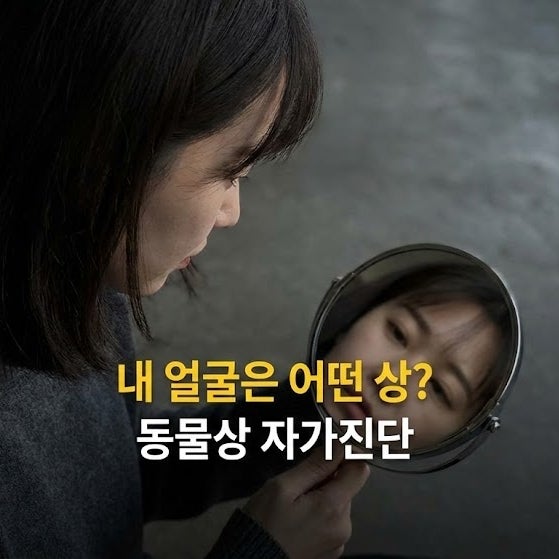  동물상 테스트 방법 및 특징 나는 어떤 상?