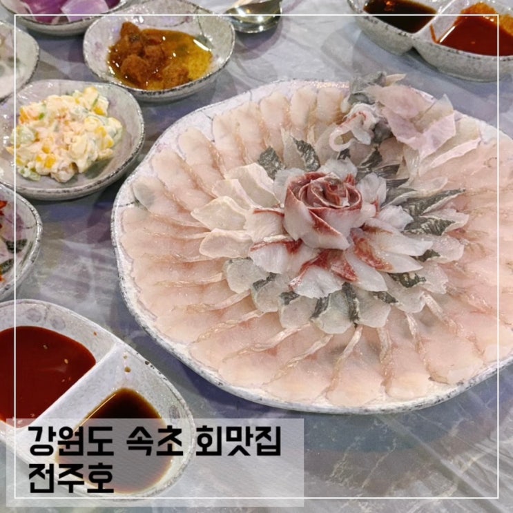  속초 횟집 전주호 청초호 활어회 회맛집 추천