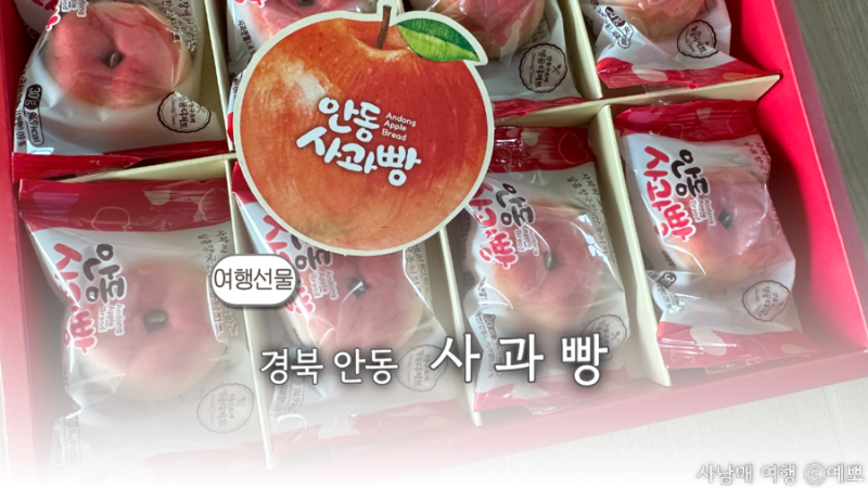 안동 사과빵 파는곳 어디? 가격·판매점·맛 택배 후기｜안동 여행 기념품 선물 추천