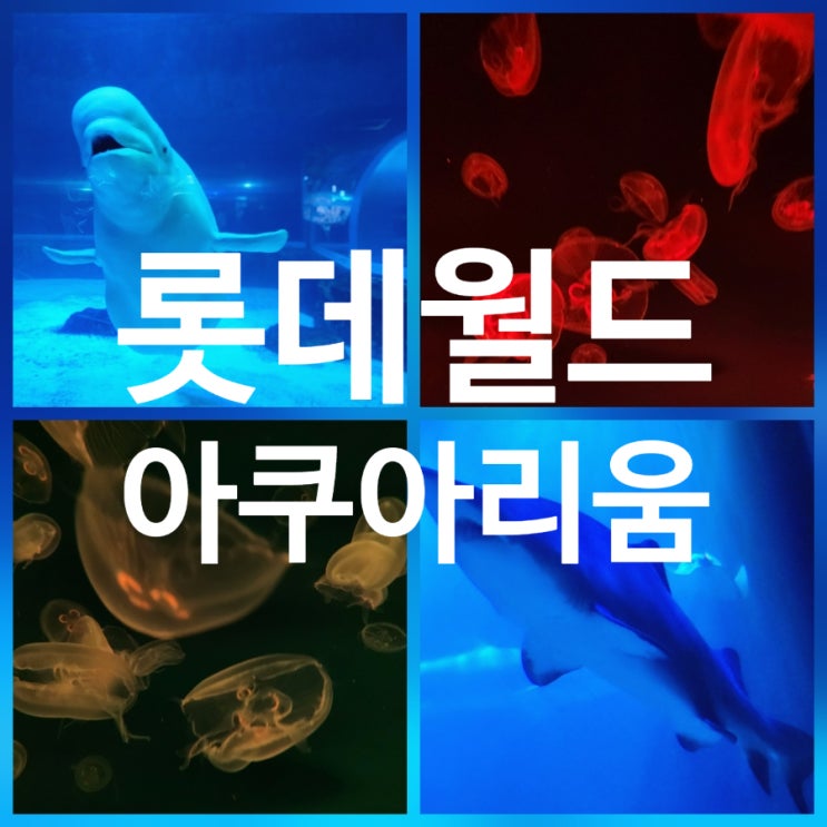  잠실 롯데월드 아쿠아리움 입장권 할인받는 법 | 운영시간·가격·관람시간 방문후기
