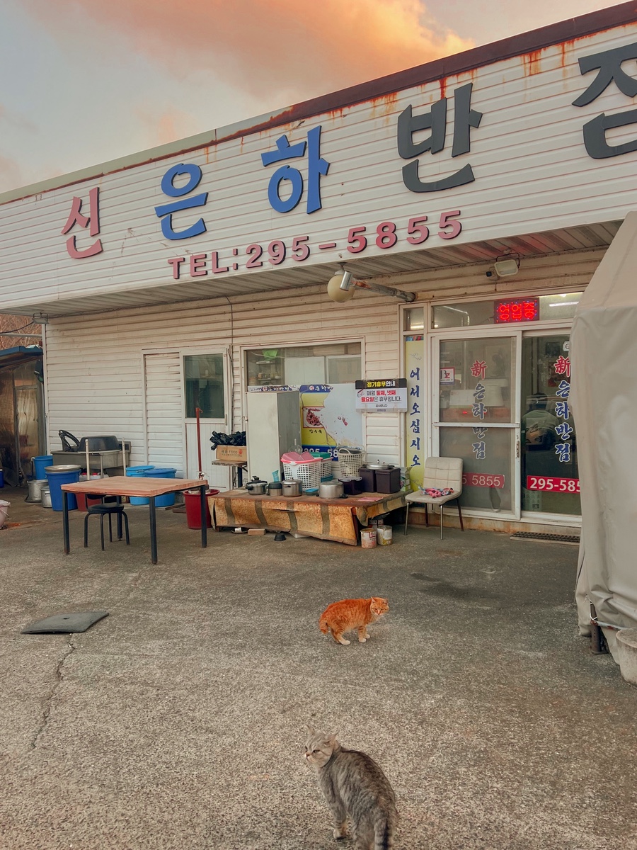 신은하반점 사진 4
