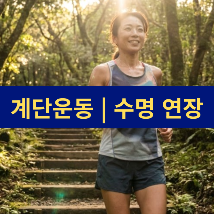  계단운동 | 수명 10년 연장 | 계단오르기 효과 장수 비결