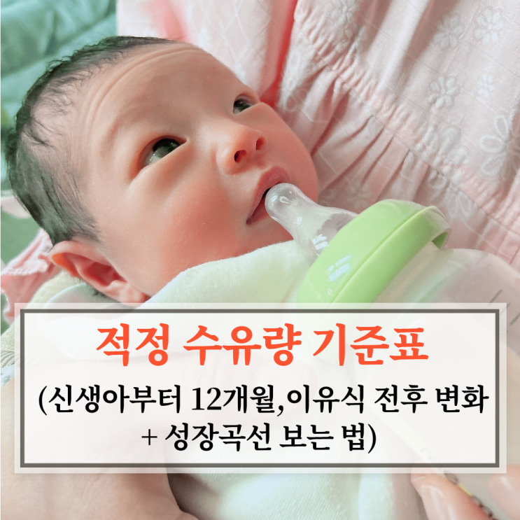  적정 수유량 기준표, 신생아부터 12개월 (이유식 전후 변화 + 성장곡선 보는 법)