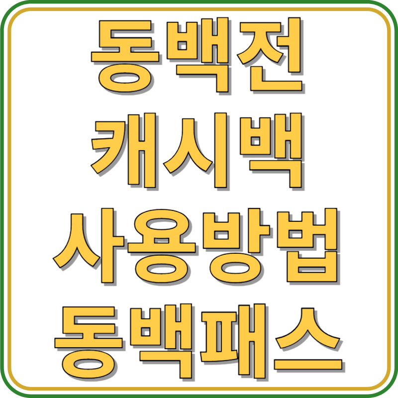 동백전 캐시백 사용방법, 사용처, 동백전 교통카드 동백패스 발급, 사용기간 안내