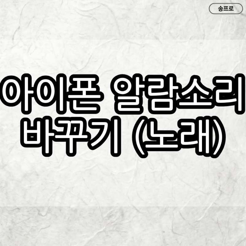 아이폰 알람 노래 바꾸기 방법 1분컷(ft. 원하는 노래로 설정하는 법)