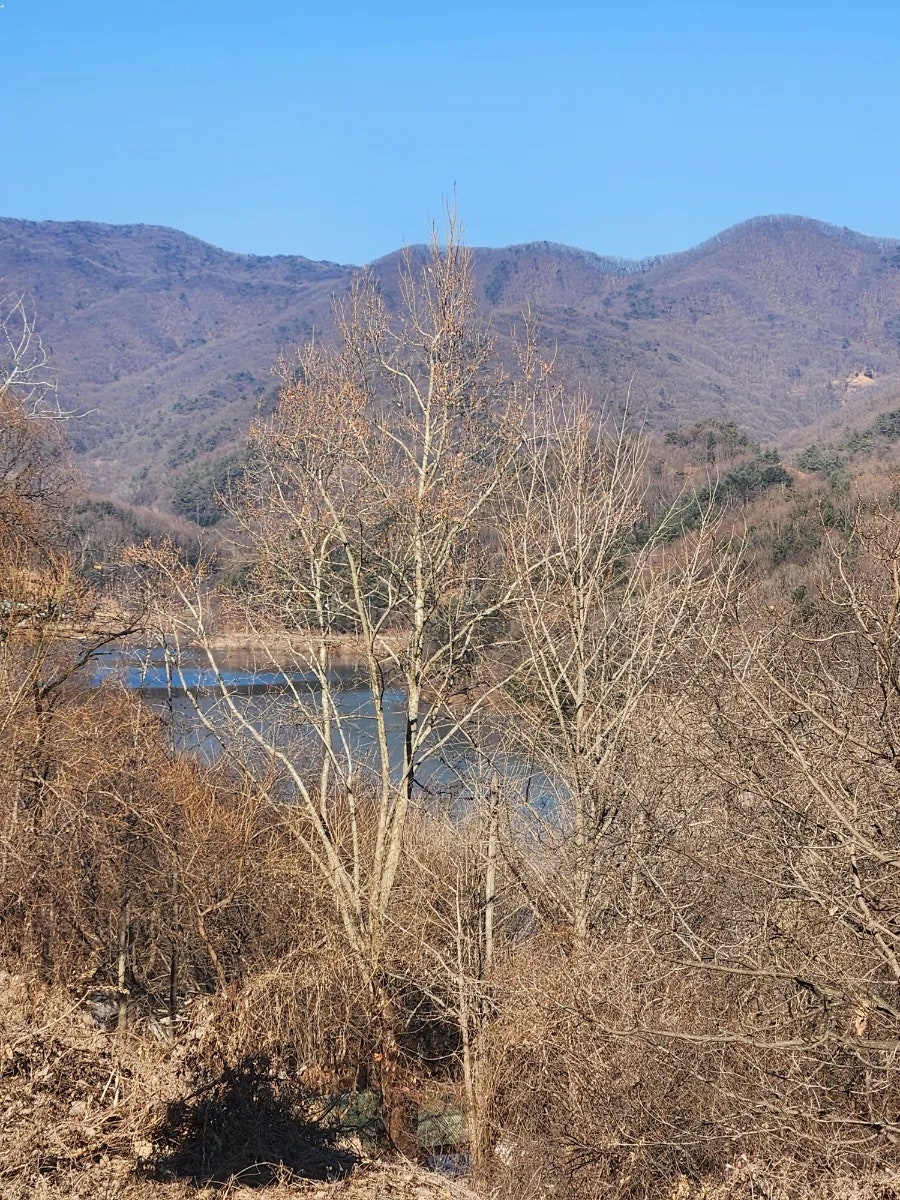청룡저수지 사진 6